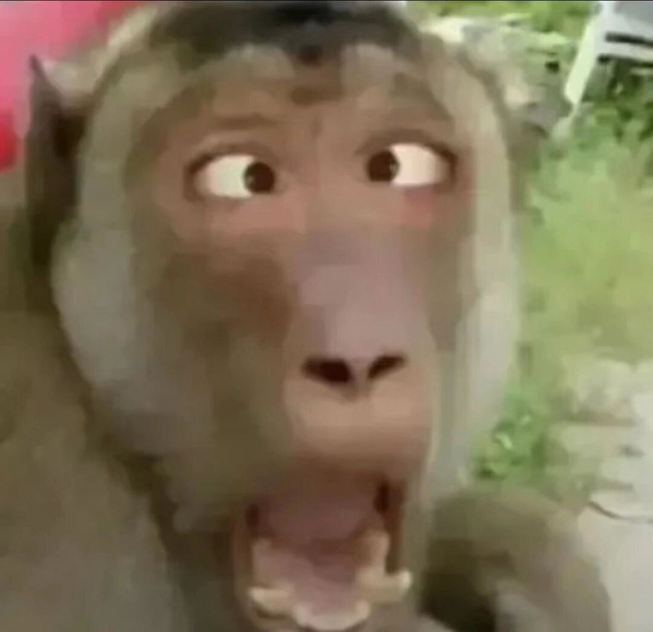 大马猴搞笑头像图片