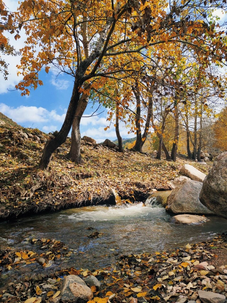 山西 | 国庆遛娃 第二站黑茶山 美醉了93 太原突发的小插曲,假期没