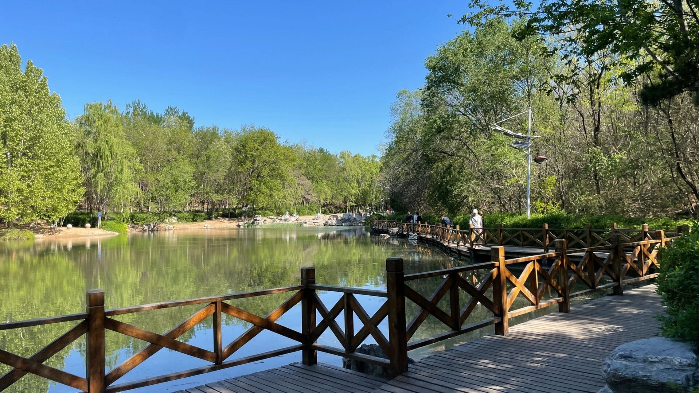 遛娃打卡001|推荐|云岗森林公园 90地点:云岗森林公园  98地址