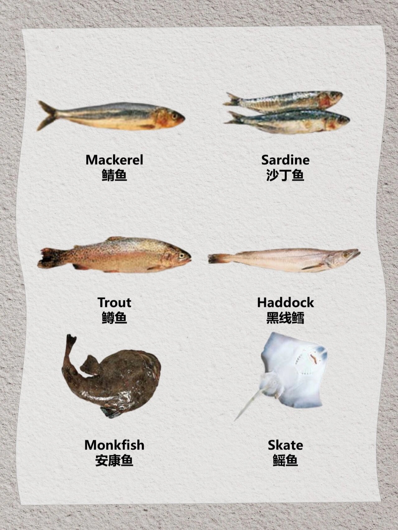 亲子英语166866|鱼类英语汇总 大家喜欢吃鱼吗?各种鱼要怎么说