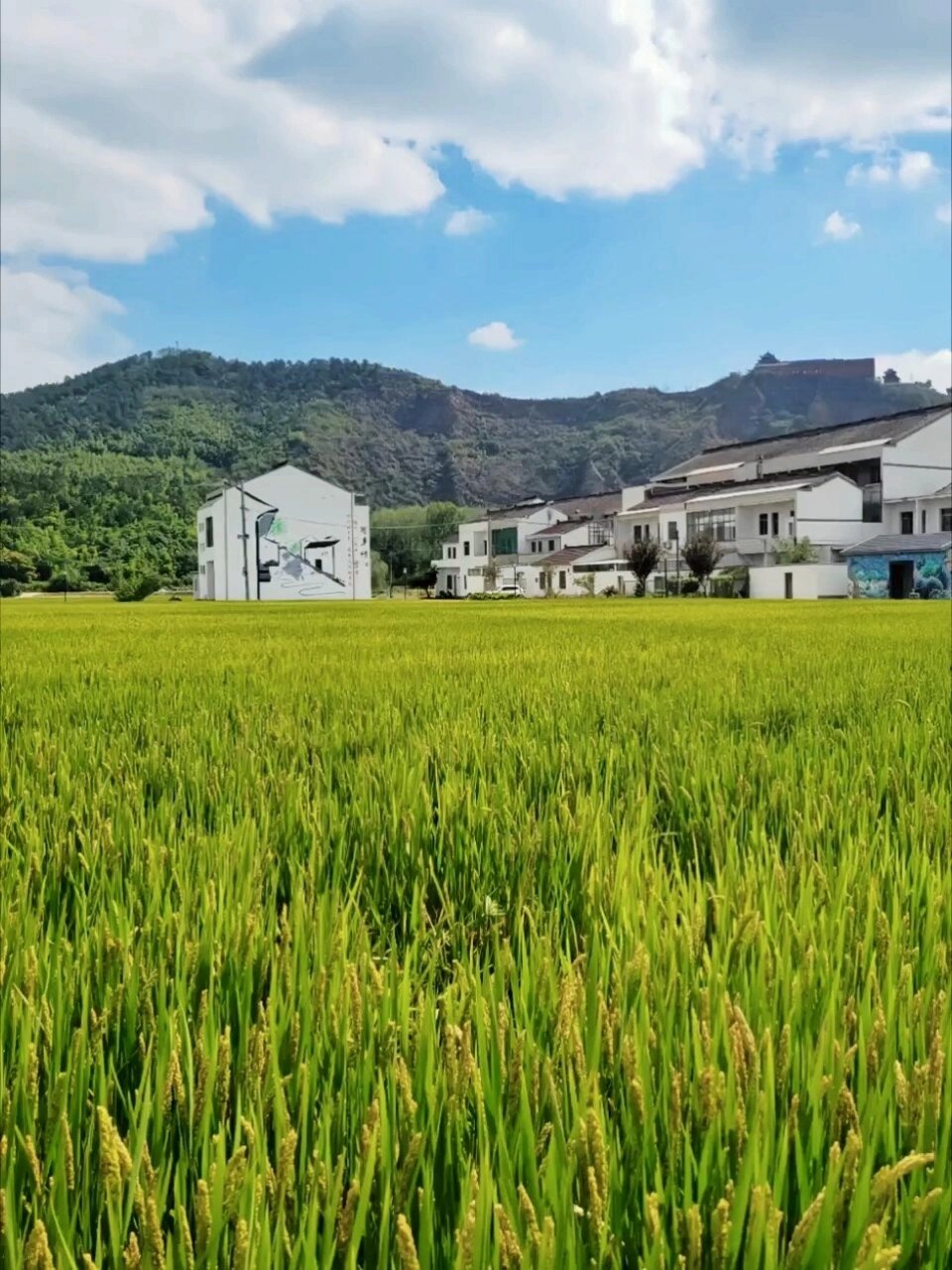 秦望山小环线徒步攻略,始皇登顶俯瞰绍兴城 92秦望山小环线徒步攻略