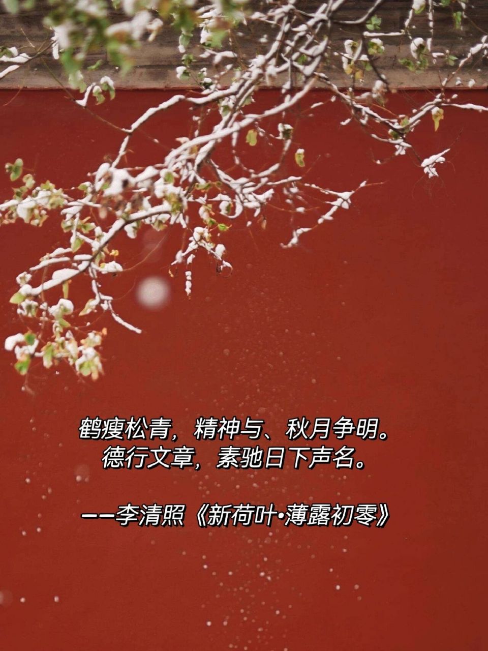 适合生日祝福的绝美浪漫古诗词|古风文案 朋友过生日不知道送什么生日