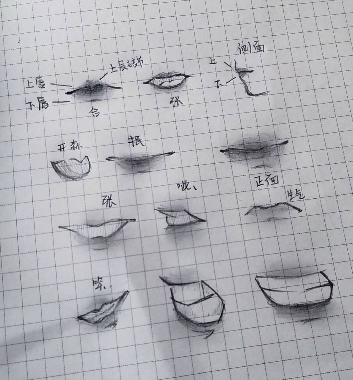 嘴巴的绘制(教程) 在漫画时,我们一般会把嘴部忽略掉,这样做其实是不