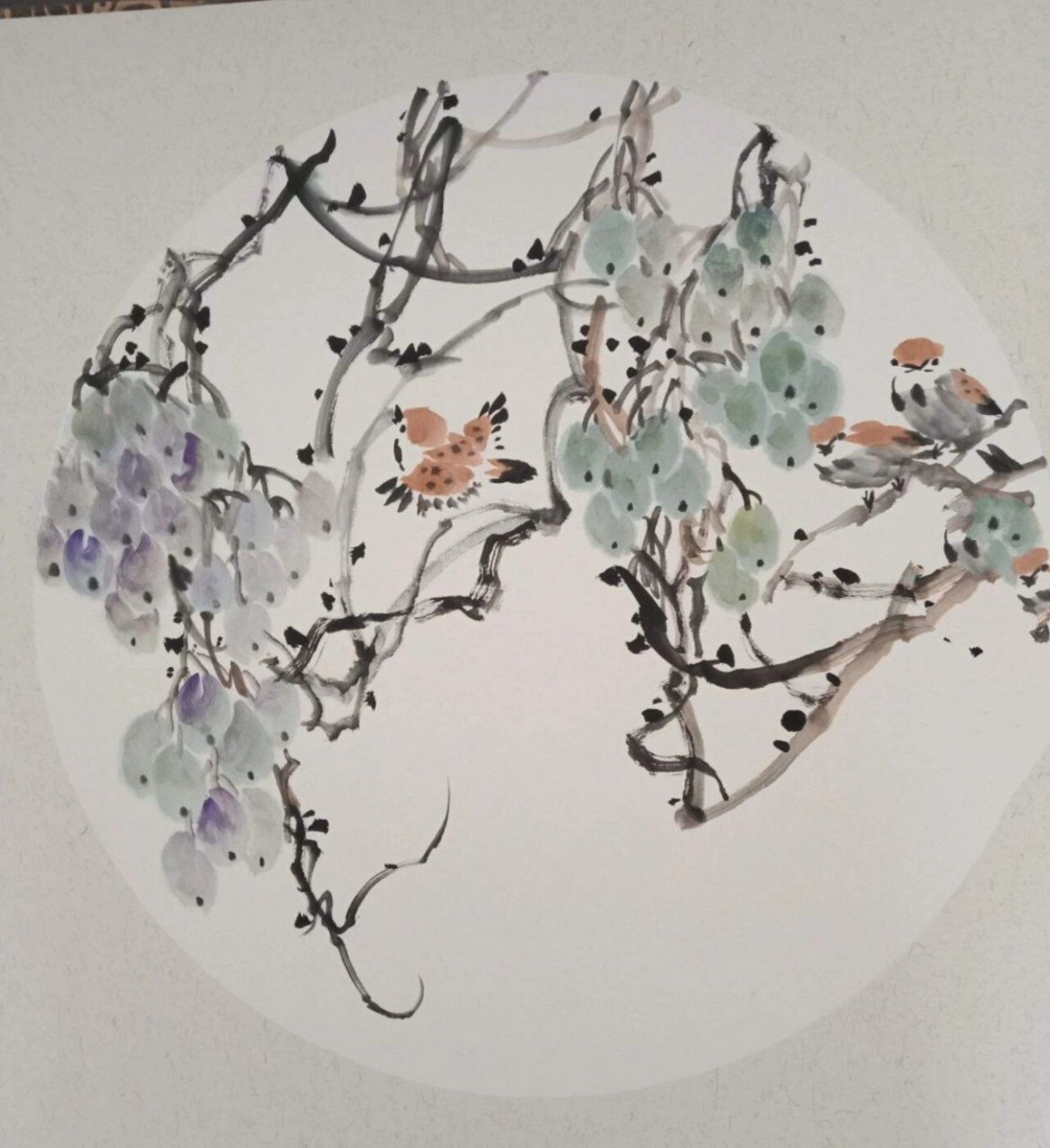 分享一组国画小品写意葡萄