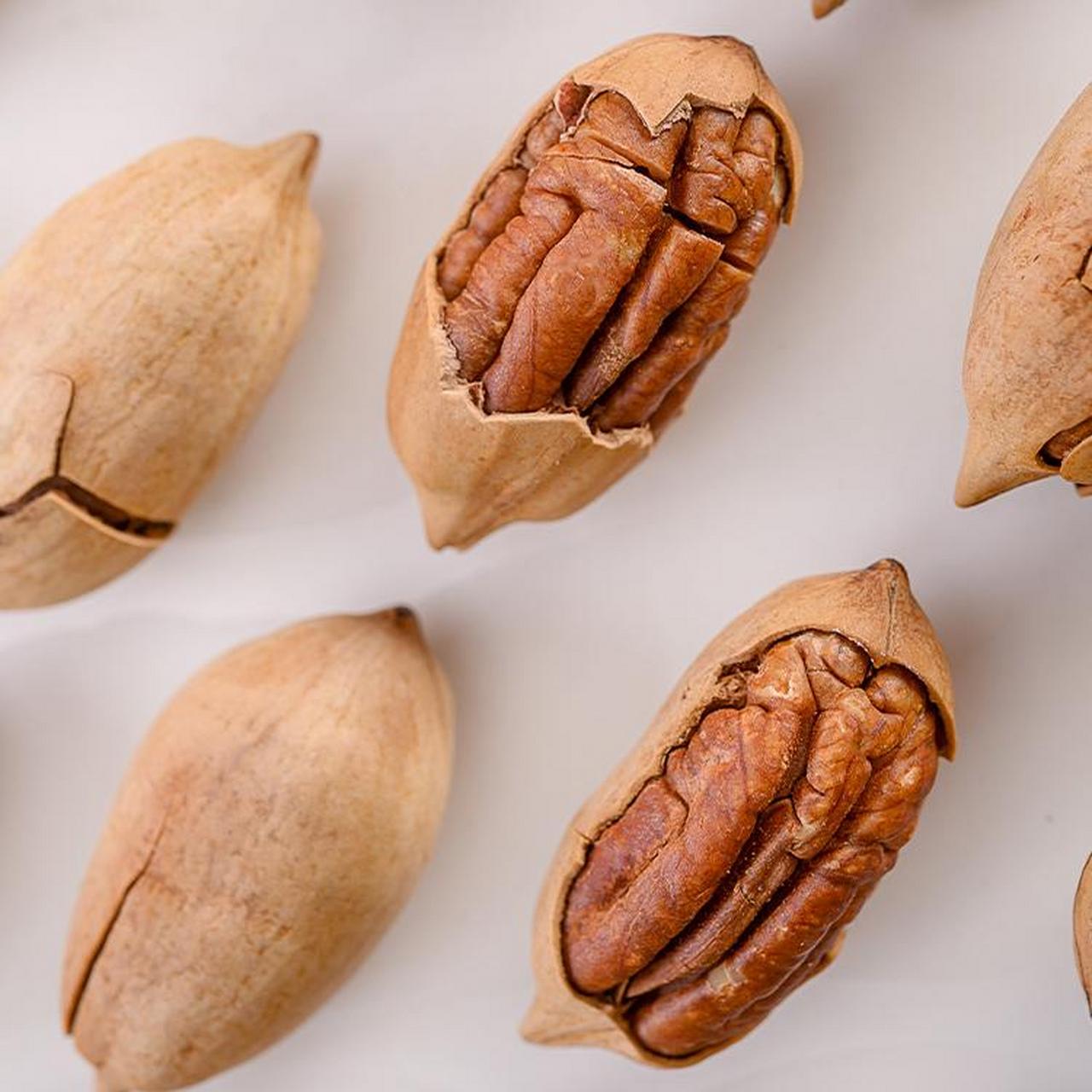 碧根果是美国山核桃的果实,是全世界17种山核桃之一,也是中国四大著名