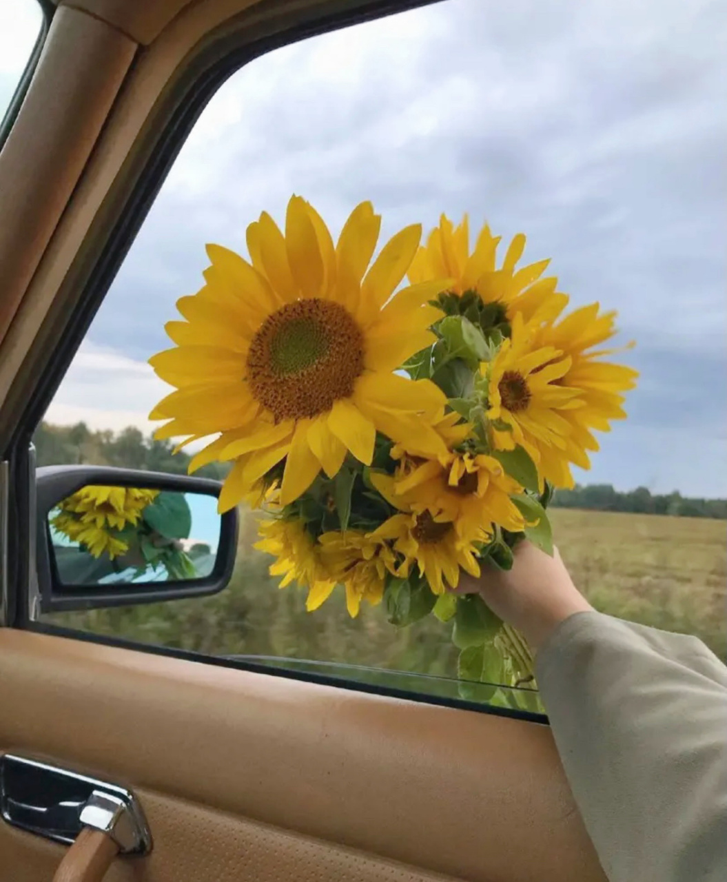 向日葵97头像来啦!