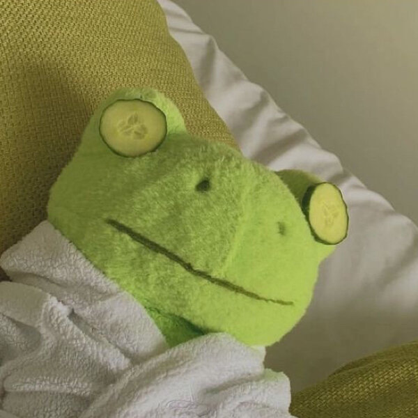 沙雕绿青蛙🐸头像