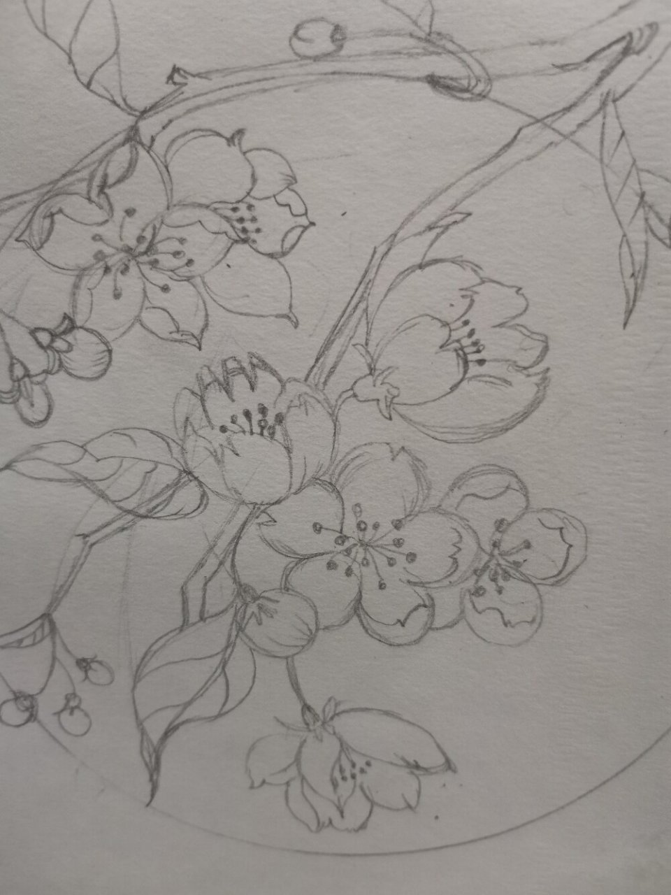 每日一画|桃花手绘黑白画 万花丛中的百花争艳你不一定娇艳,凌寒独自