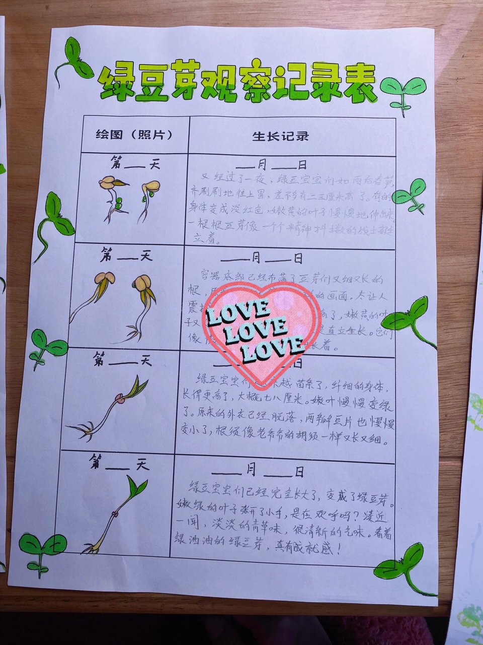 绿豆芽7天观察记录表 四年级上册语文第三单元作业,小朋友兴趣很浓