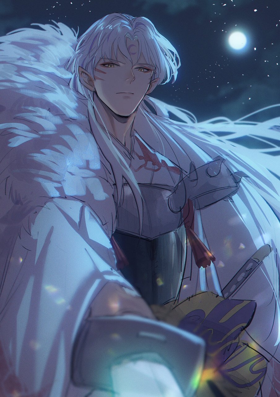 大家觉得哪一张杀生丸最帅?