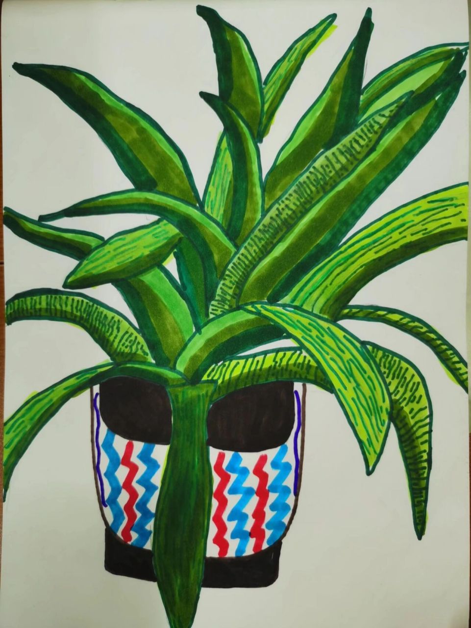 人美版四年级下册《植物写生》学生作品 娃娃们真棒!