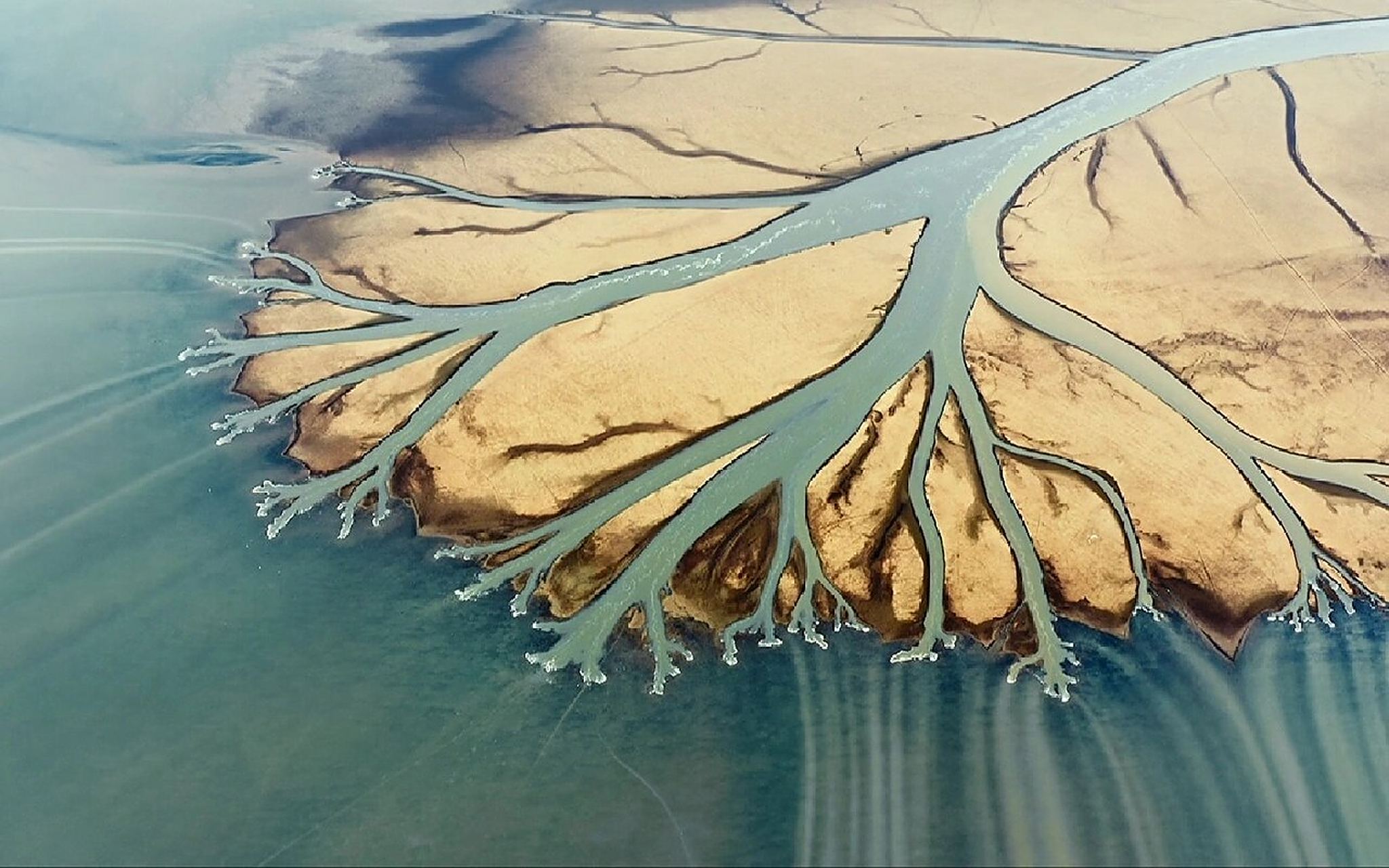 【day57】大海与河流的画作——三角洲 🏞️定义: ◆三角洲即河口