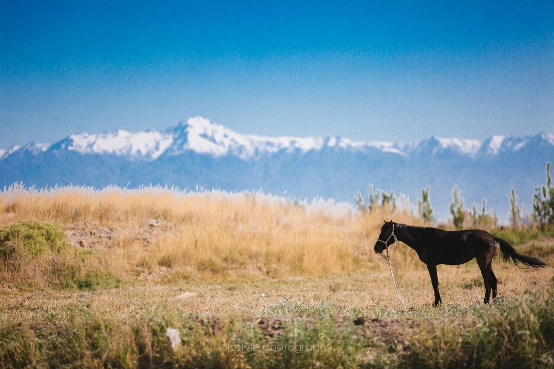 新疆︱博格达沁古城遗址 博格达沁,维吾尔语意为高大宏伟之城.