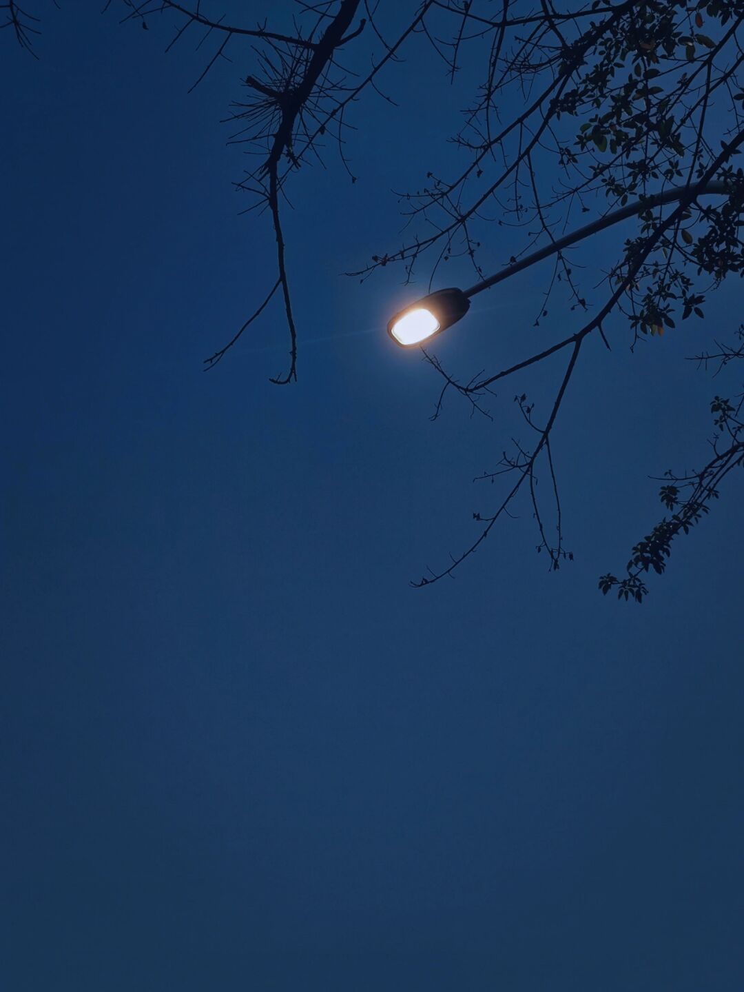 3第三组在繁华的夜景中选取最