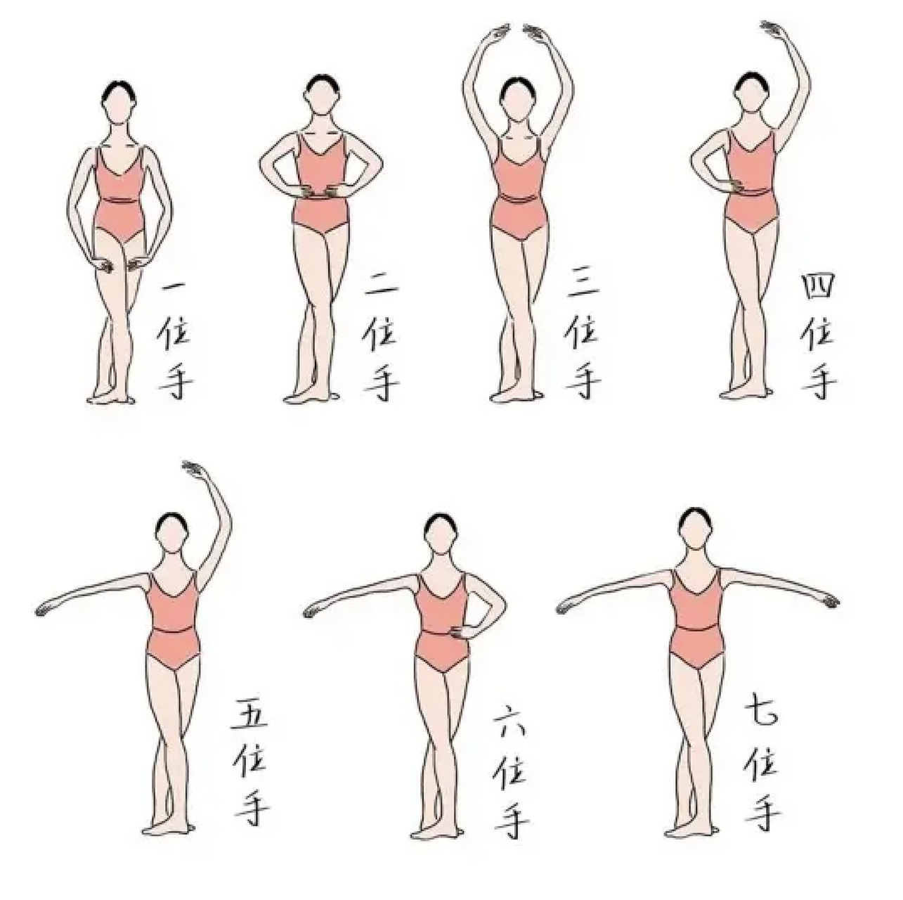 芭蕾手位&脚位详细讲解 注意751575157515所有手位在做之