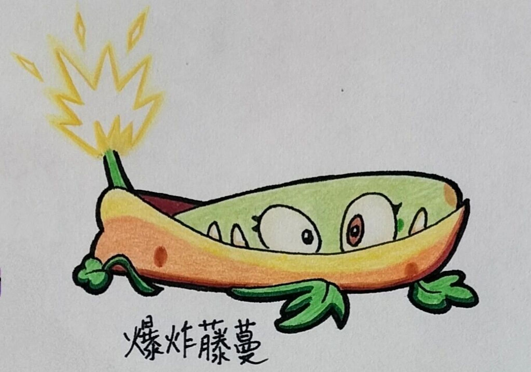 植物大战僵尸绘画 藤蔓家族