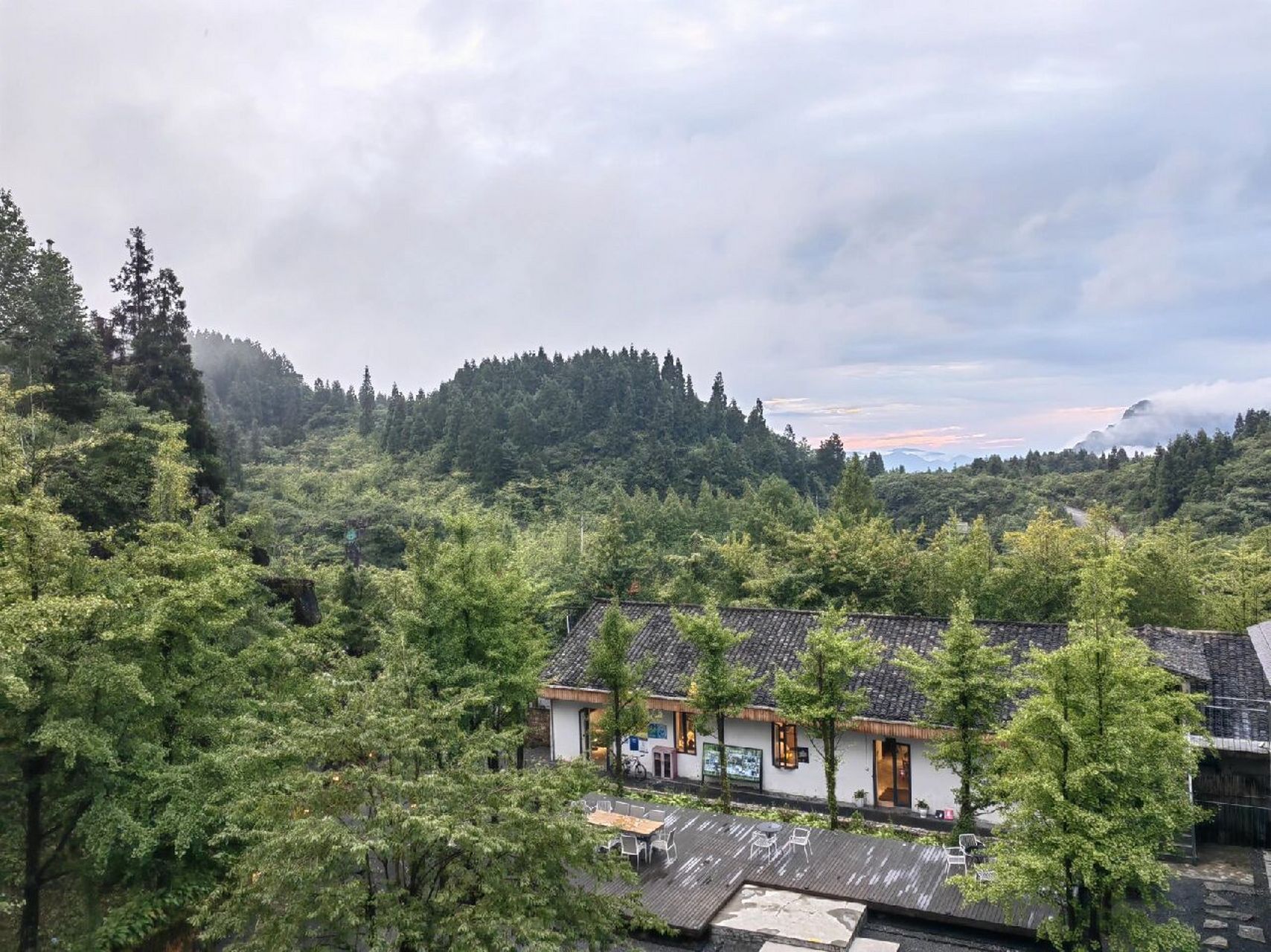 重庆银杏树下酒店图片