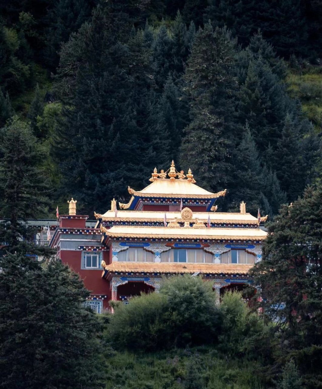 左钦寺|如果你来藏地一定要来的寺院 佐钦寺的所在地海拔高约4000米