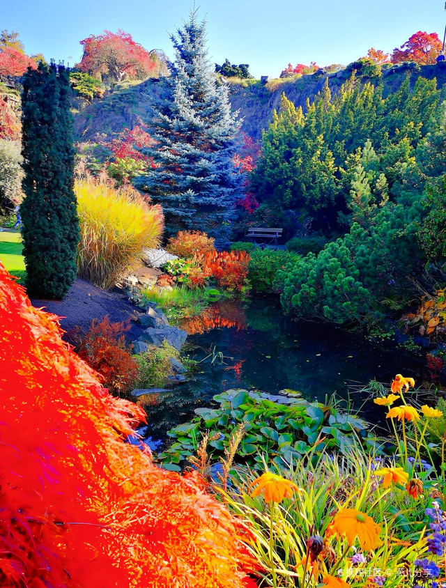 多伦多女王公园——治愈系公园,太美了!