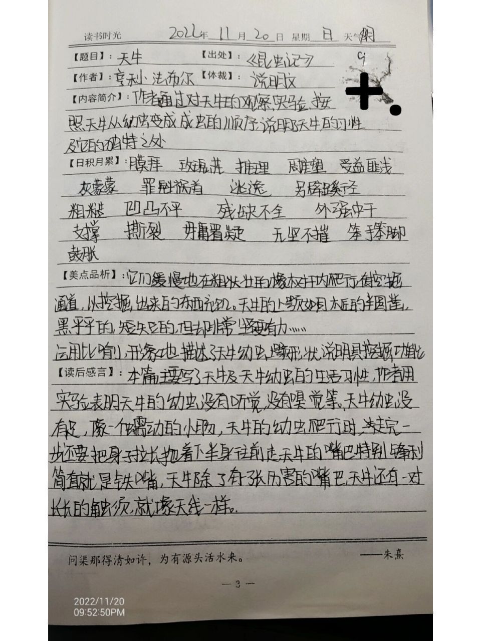 昆虫记读书笔记(天牛)