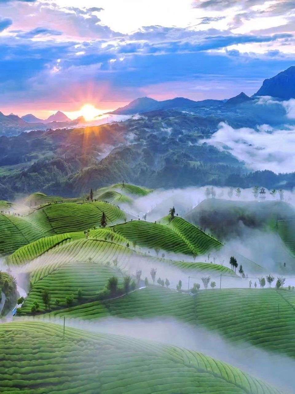 美图欣赏——清晨的梯田:迷雾中的美景 清晨的梯田是大自然赋予人们的