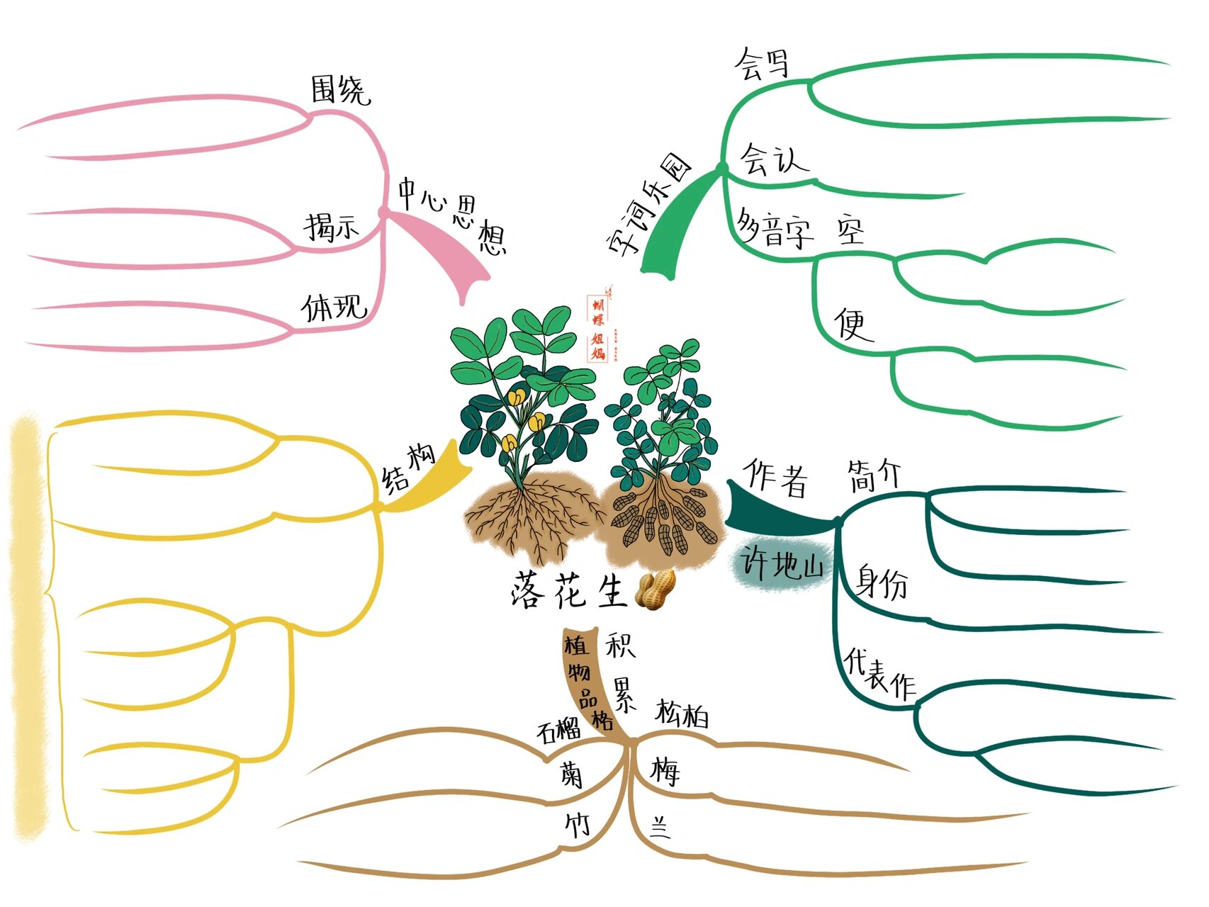 落花生思维导图简单图片