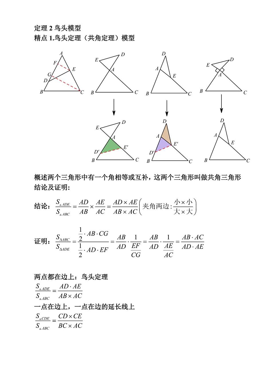 小奥必会模型2鸟头模型 你知道什么是鸟头吗