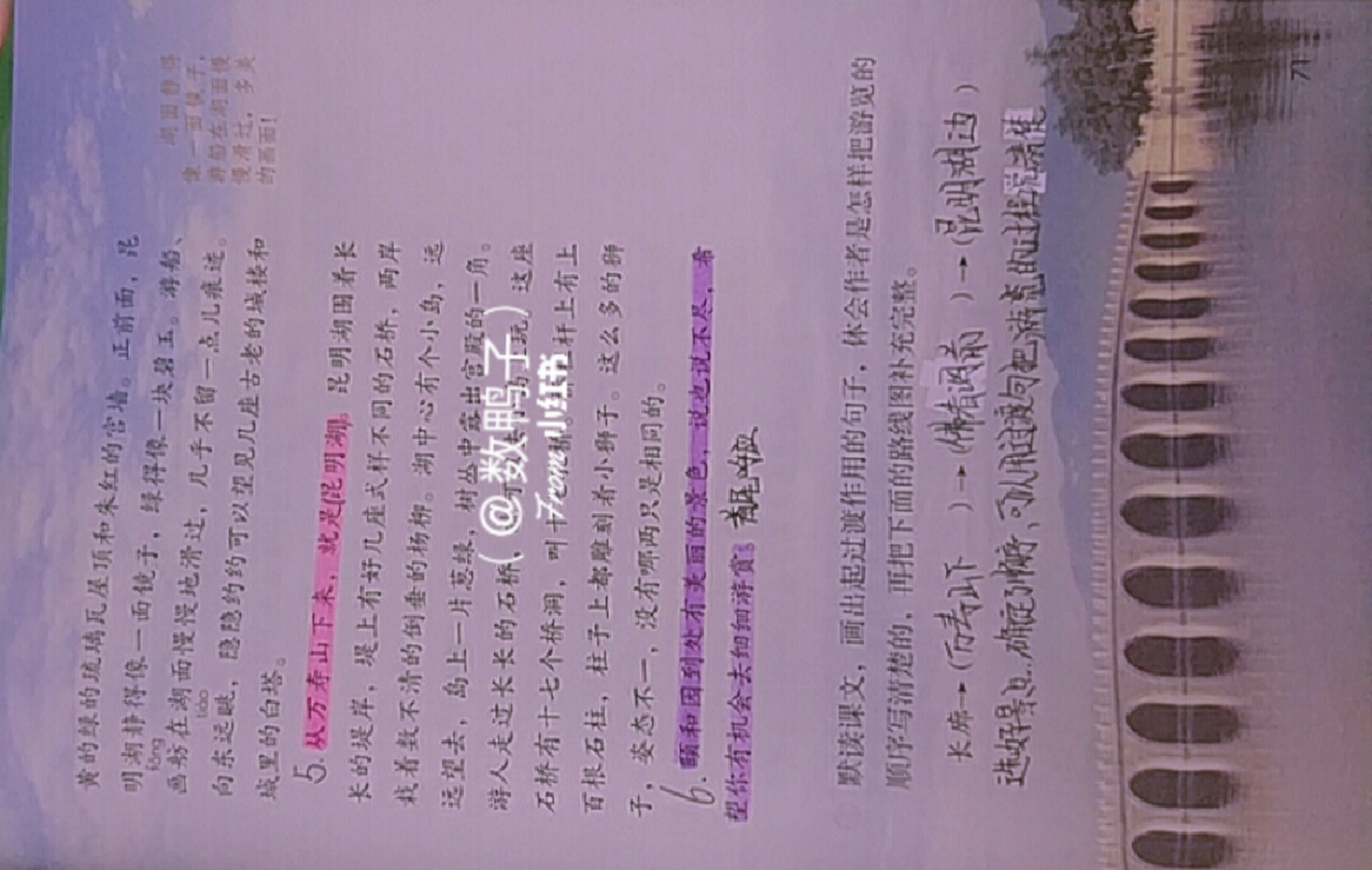 四年级下册,颐和园,笔记 颐和园笔记重点丨1次