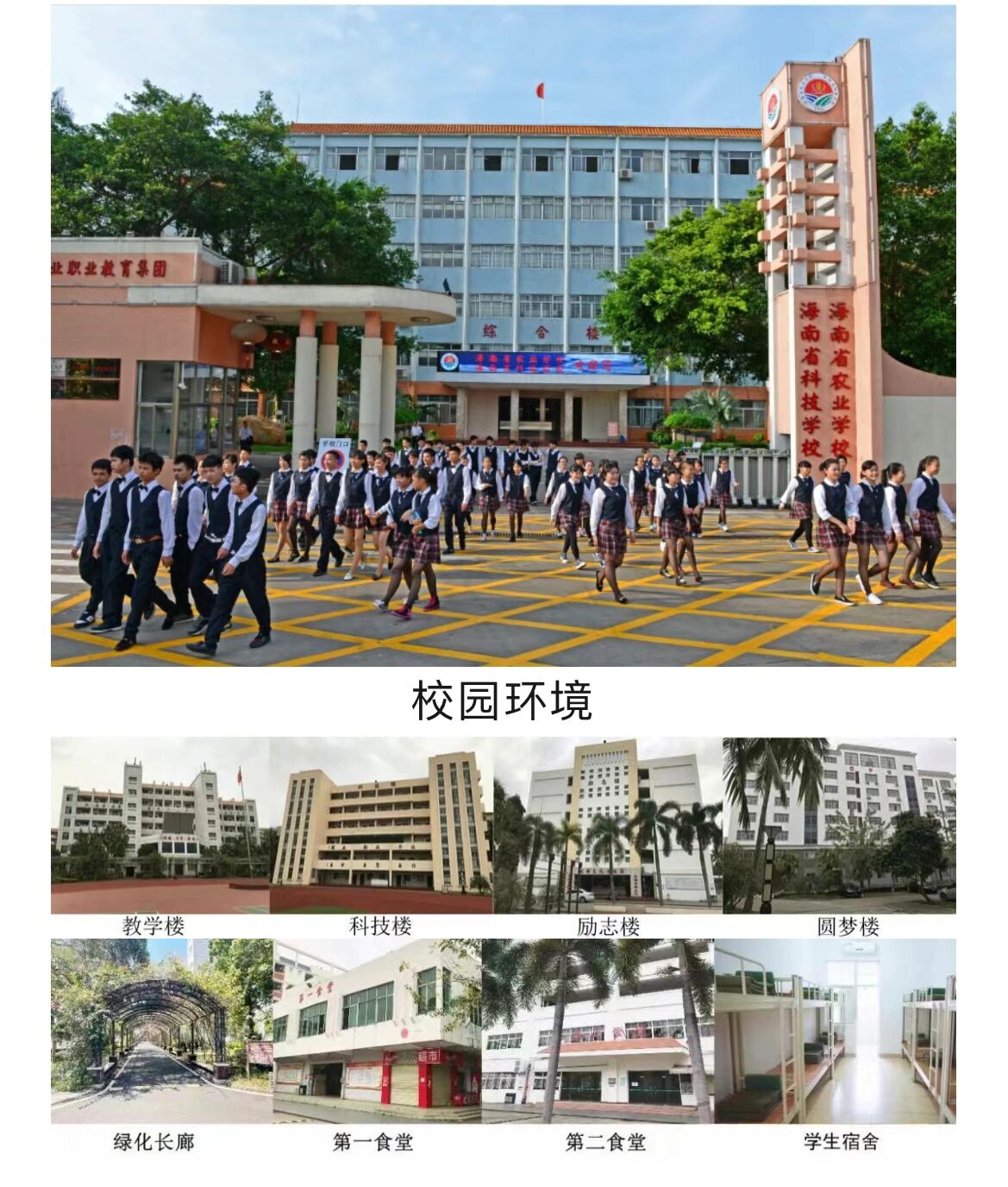 海南省农业学校宿舍图片