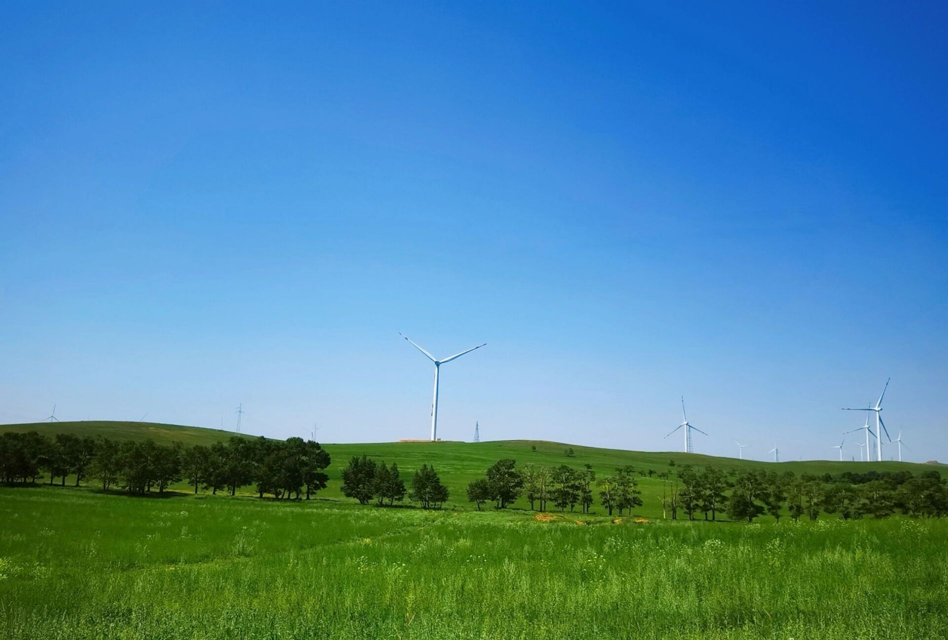 康保草原天际线 康保县,周边都是这样的风景,温度最高时也就30来度