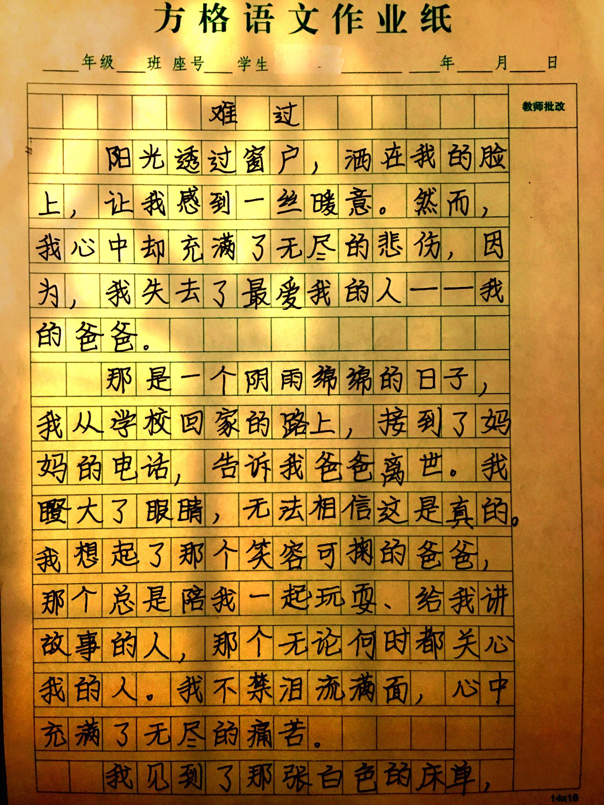 真情实感的作文500字图片