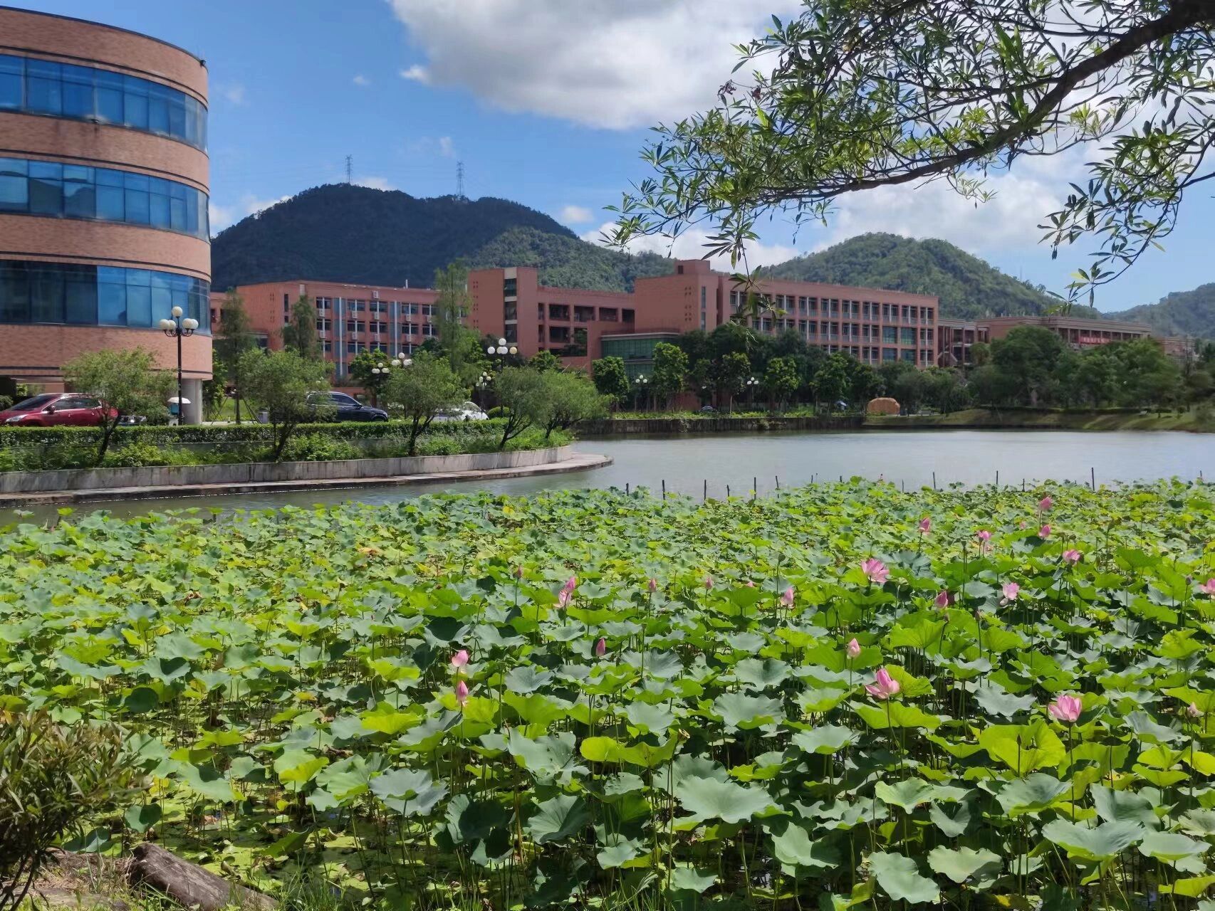 广药中山校区图书馆6015