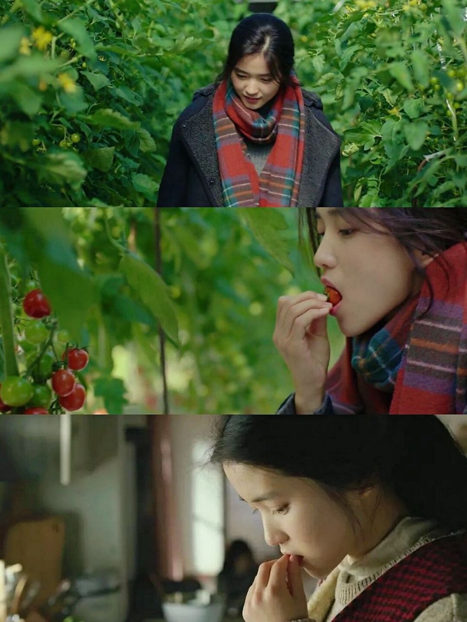 99小森林电影|最佳治愈片 《小森林·夏秋篇》 little forest 99