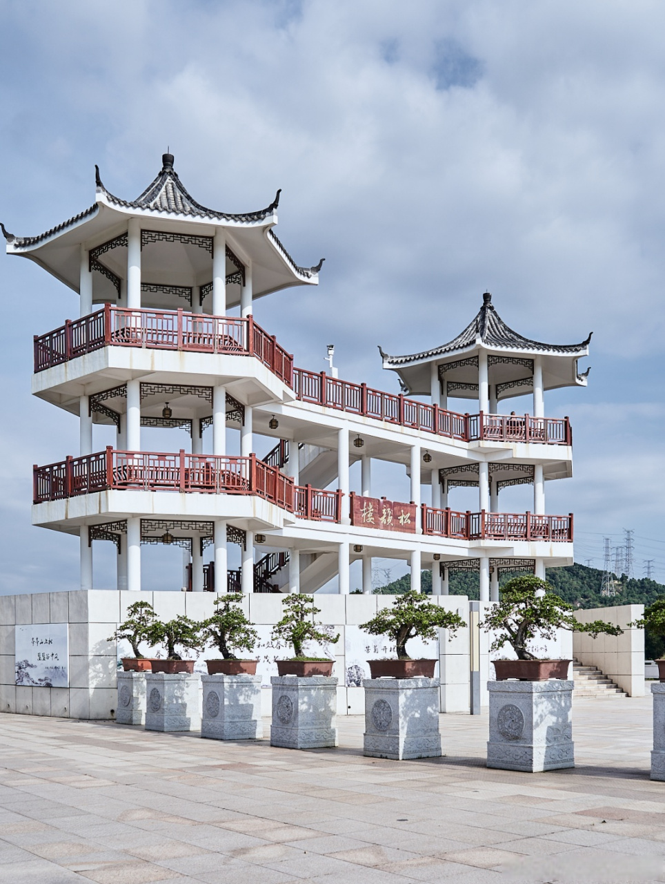 小时荐# [666]宝藏秘境——五指耙公园游玩推荐  [鼓掌]紫色马鞭草