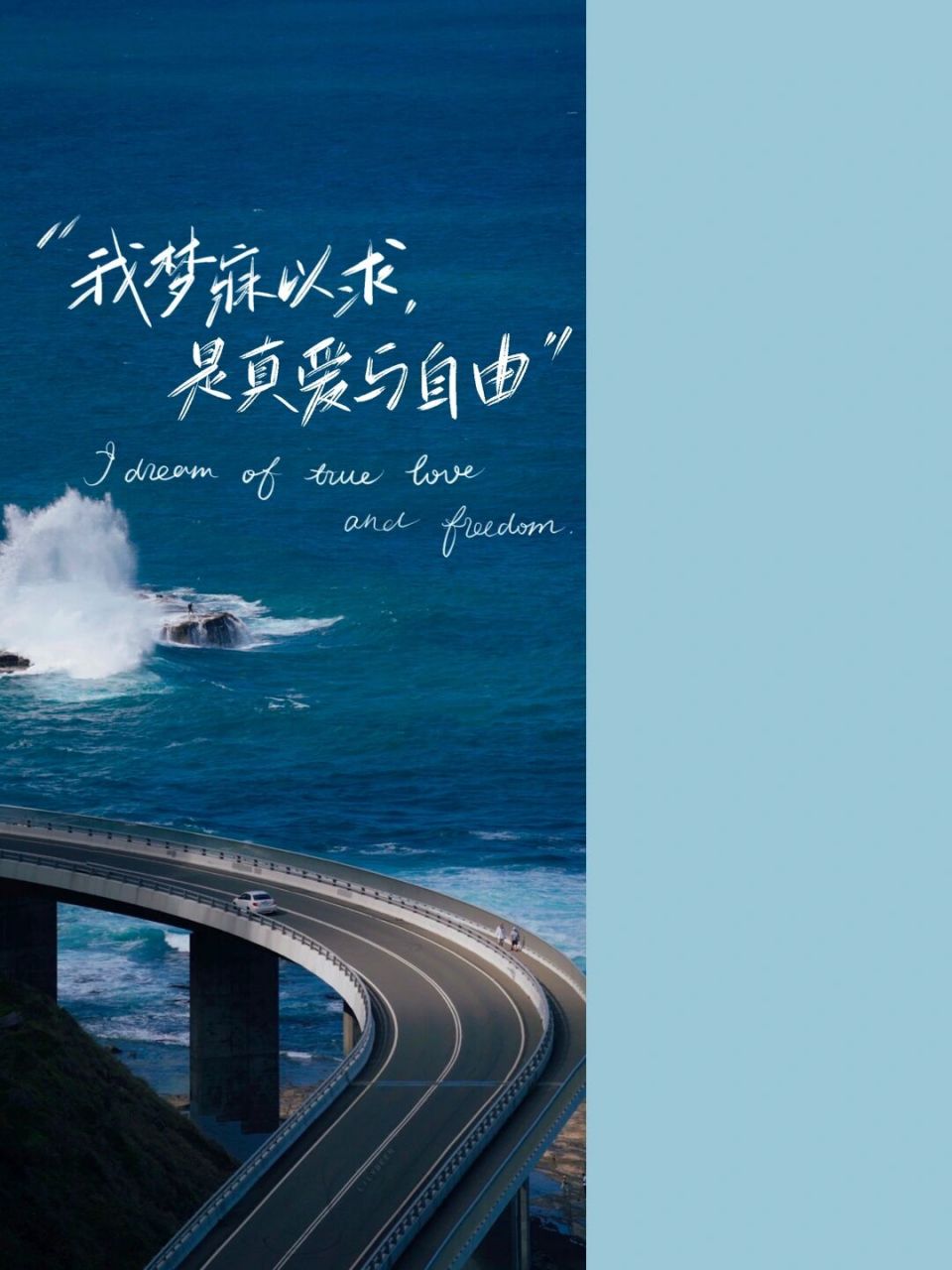 每日壁纸73|"我梦寐以求,是真爱与自由" #手写# #壁纸# #全屏壁纸
