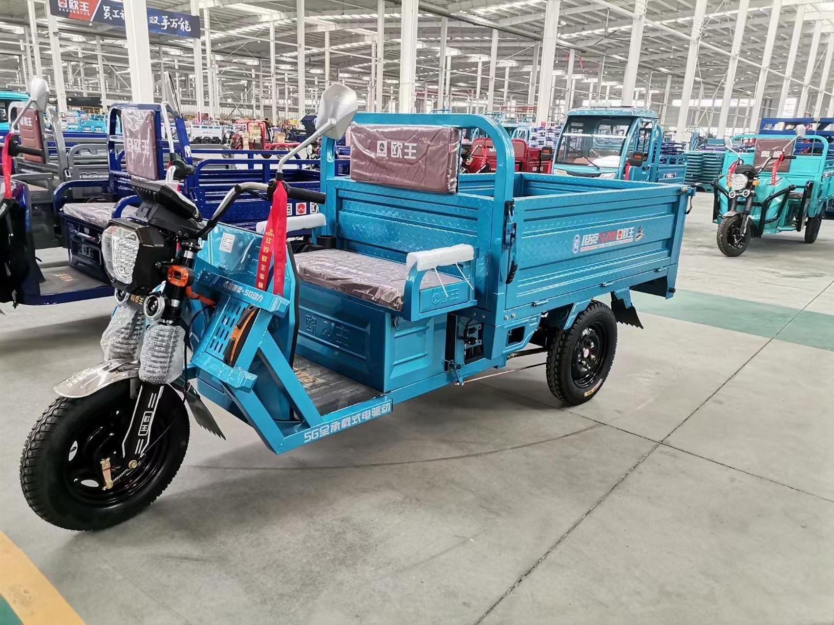 欧王坦克570电动三轮车,1.1×1.