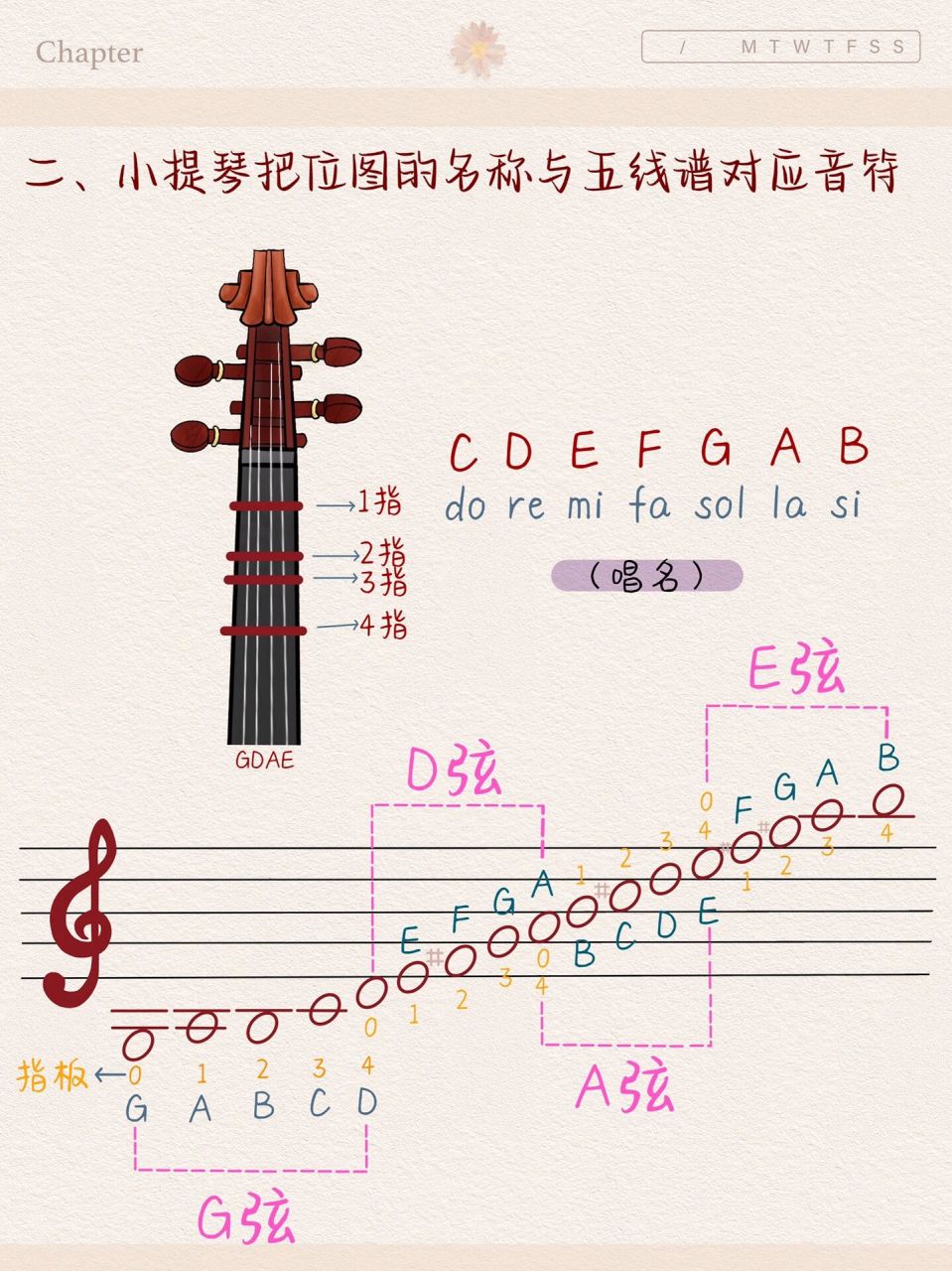 中提琴图片 位图图片