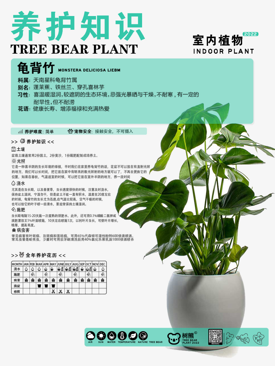 龟背竹的养护方法 植物养护卡片 龟背竹要怎么才能养的好,养护知识