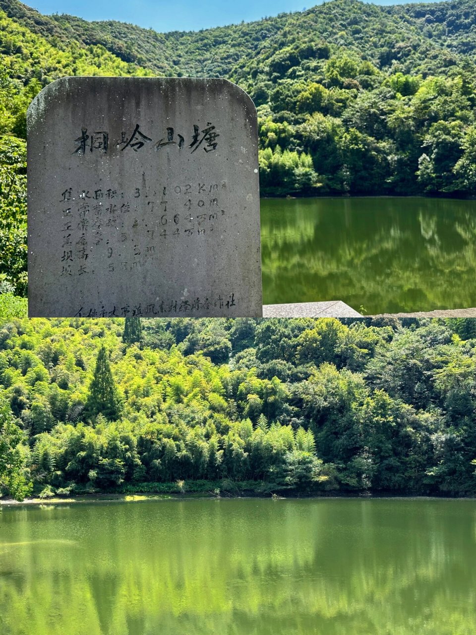9月旅行|余姚98森林氧吧之隐世桃源桐岭仙境 7215线路介绍:桐岭