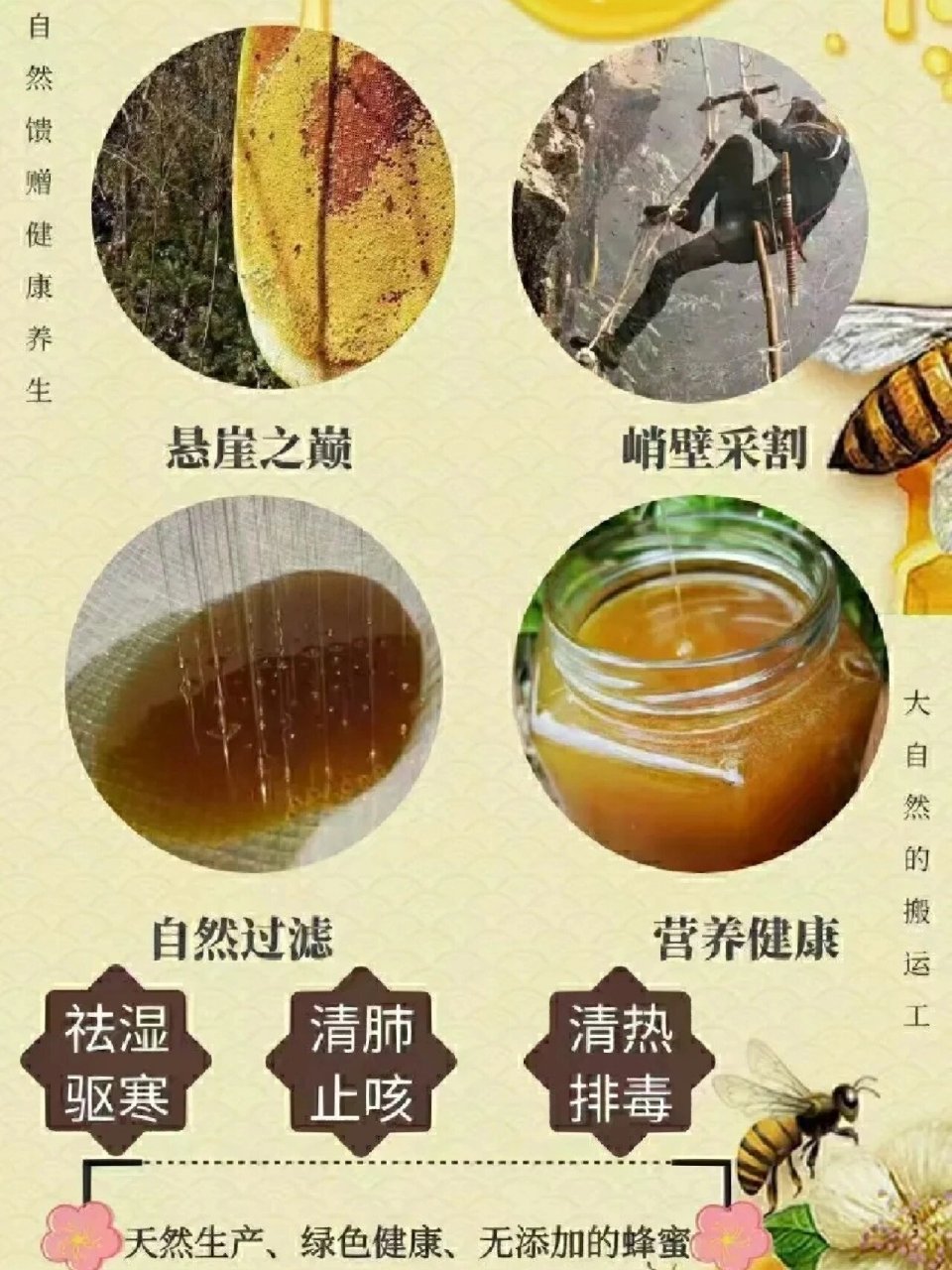 蜂蜜对人体有哪些益处和害处(蜂蜜对人体有什么)