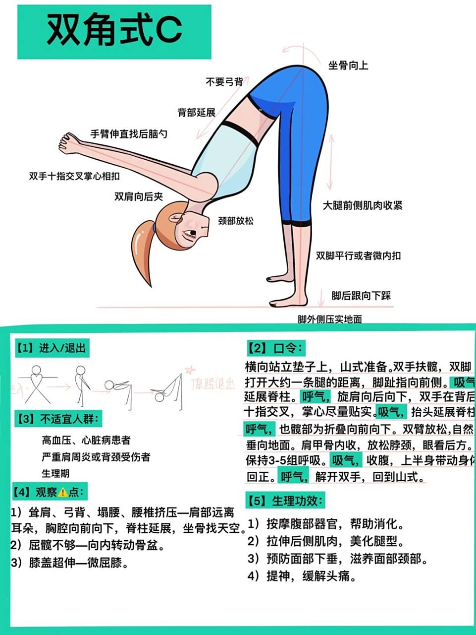 原创插画|瑜伽插画|瑜伽体式笔记—双角式c @双角式总共分a,b,c,d,一