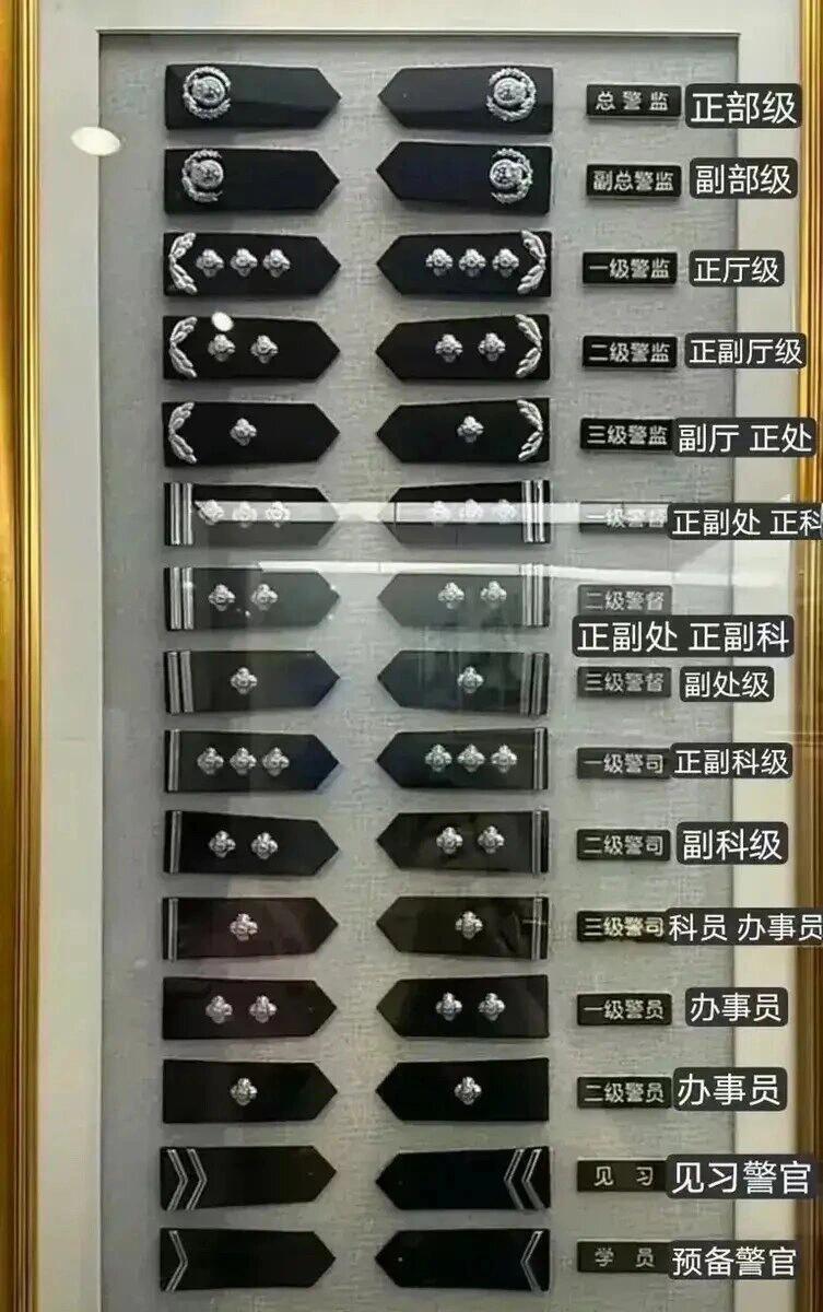 下面图片中的这个是99式警服警衔肩章