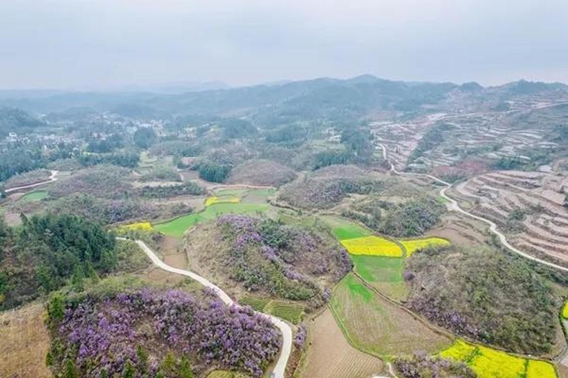 凤凰腊尔山的富硒大米,采用当地精选的中晚稻品种种植,颗粒饱满,质地