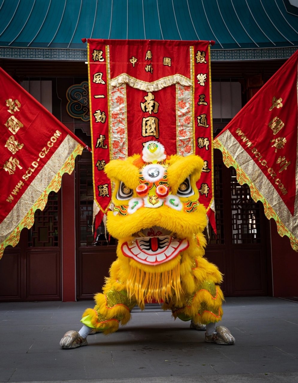 非物质文化遗产-南国醒狮 舞狮的习俗各地都有,分为南北两大流派.