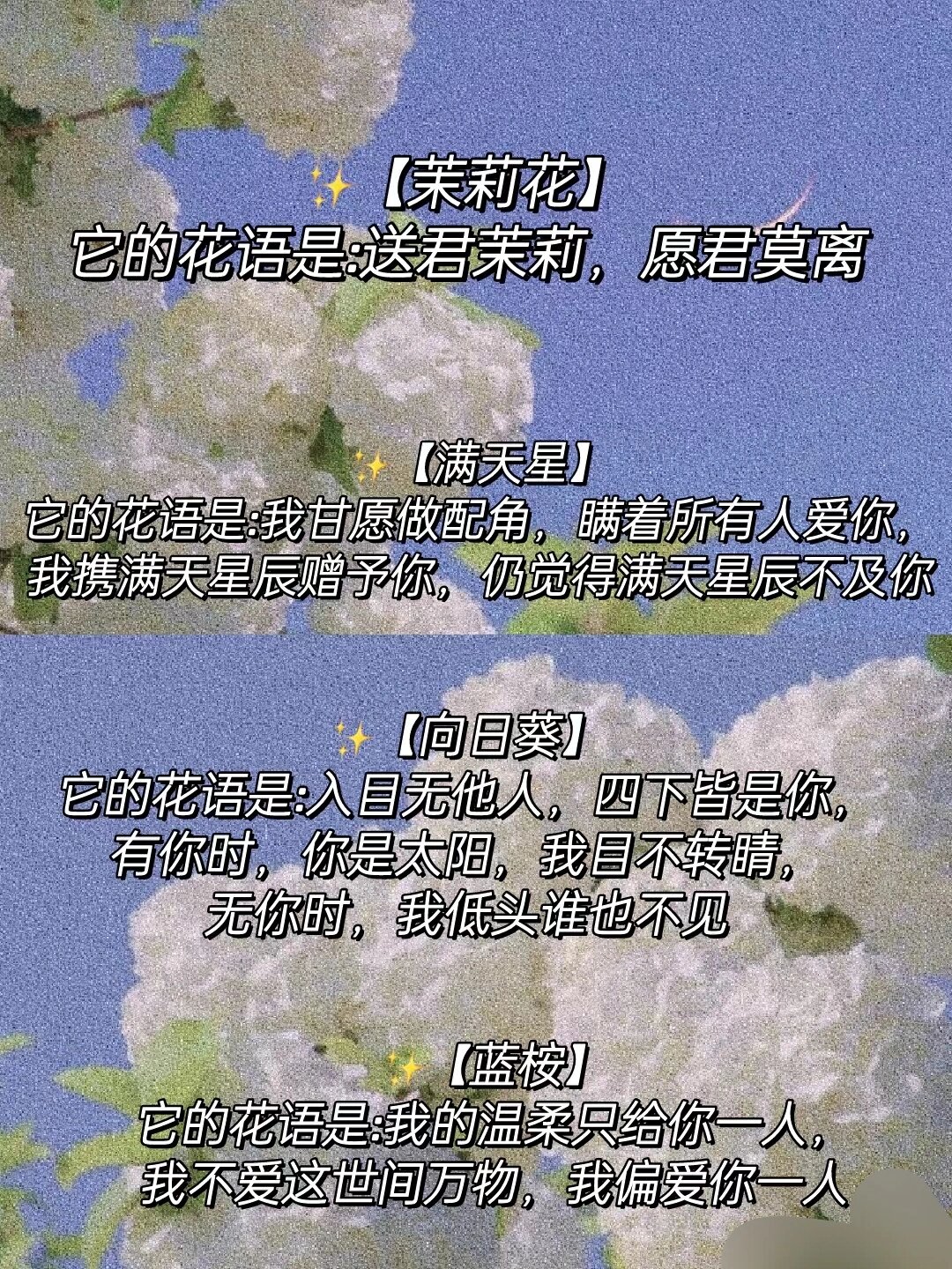 小众又高级的花语