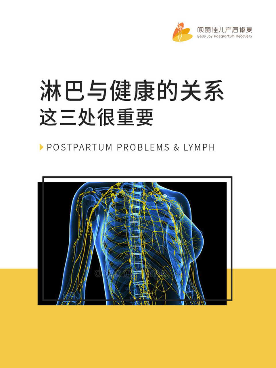 背部淋巴结分布位置图图片