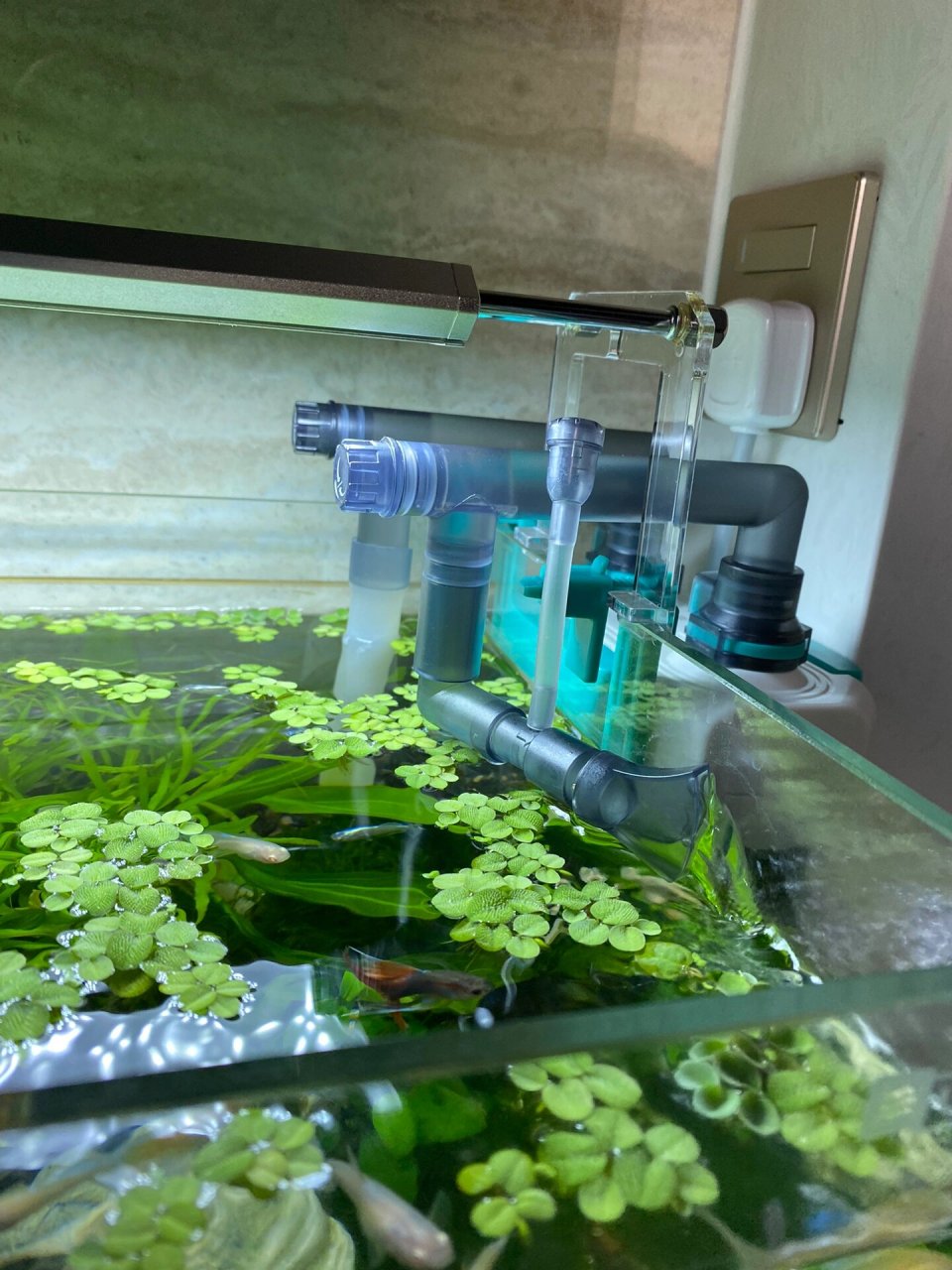 鱼缸壁挂式过滤器 新开了一个草缸,特别想说一下这个壁挂过滤器,质量