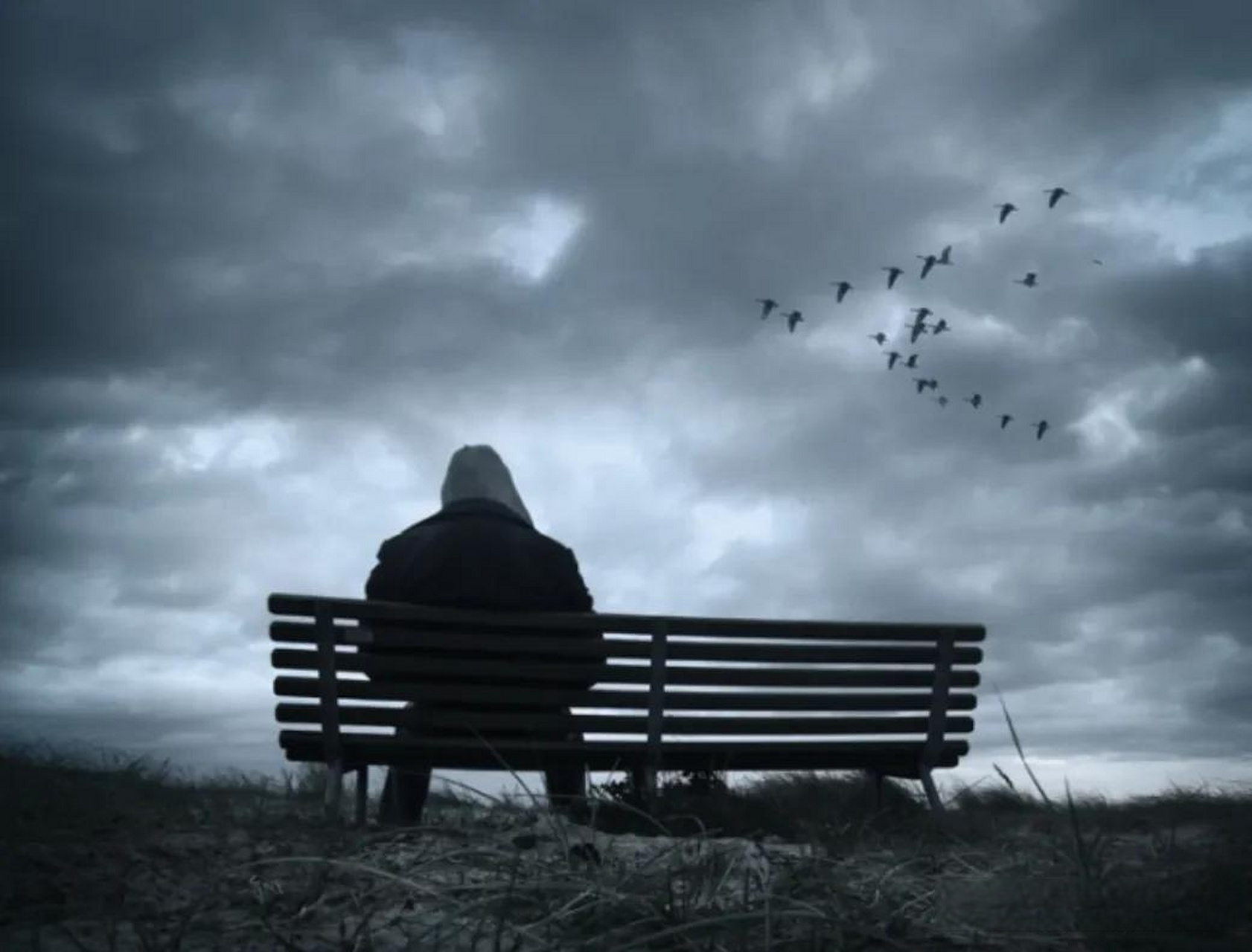 能打发无聊的时间,能对抗寂寞,有多少人做不到?