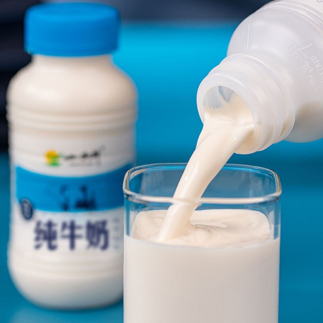 光明小西牛纯牛奶243ml*6瓶*1箱,18.9入!