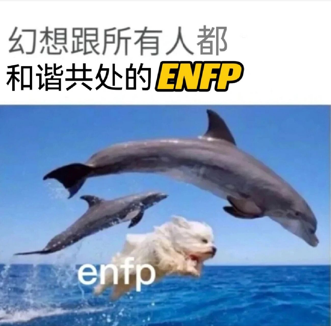 enfp的善良和纯真每天都在震撼intj 和enfp坐火车07对面坐了一对